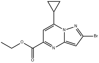 Pyrazolo[1,5-a]pyrimidine-5-carboxylic acid, 2-bromo-7-cyclopropyl-, ethyl ester Struktur