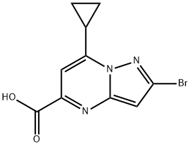 2-Bromo-7-cyclopropylpyrazolo[1,5-a]pyrimidine-5-carboxylic acid Struktur