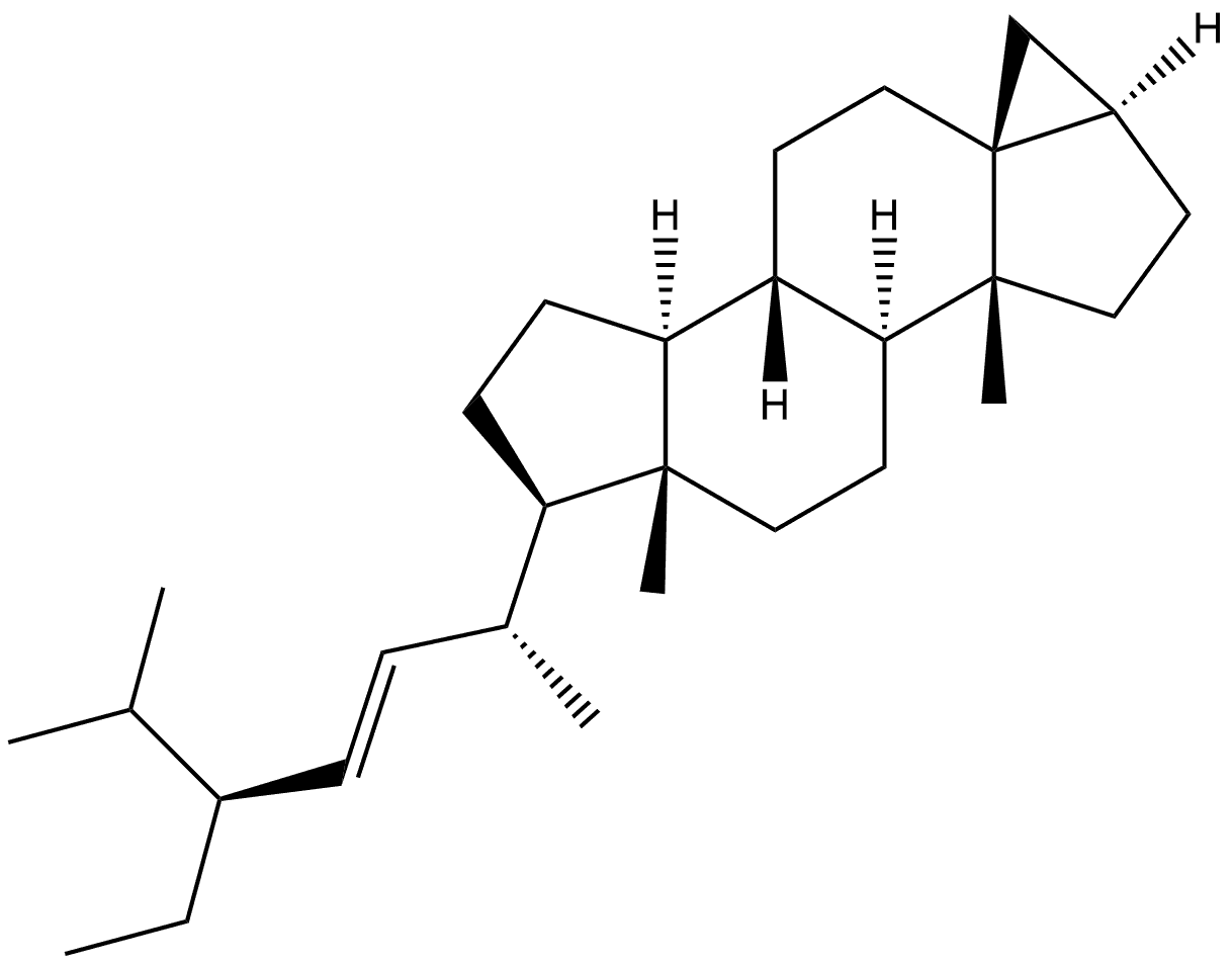 3,5-Cyclostigmast-22-ene, (3α,5S,22E)- (9CI) Struktur