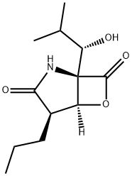 6-Oxa-2-azabicyclo[3.2.0]heptane-3,7-dione, 1-[(1S)-1-hydroxy-2-methylpropyl]-4-propyl-, (1R,4R,5S)- Struktur