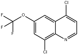 4,8-Dichloro-6-(trifluoromethoxy)quinoline Struktur