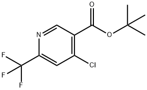 3-Pyridinecarboxylic acid, 4-chloro-6-(trifluoromethyl)-, 1,1-dimethylethyl ester Struktur