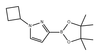 1H-Pyrazole, 1-cyclobutyl-3-(4,4,5,5-tetramethyl-1,3,2-dioxaborolan-2-yl)- Struktur