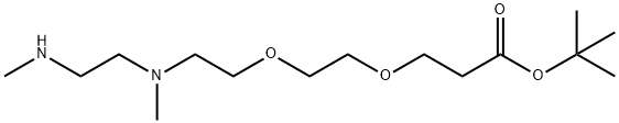 N,N'-DME-N-PEG2-Boc Struktur