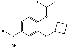 3-Cyclobutoxy-4-(Difluoromethoxy)Phenylboronic Acid(WX650128) Struktur