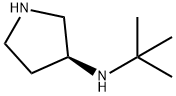 (S)-N-(叔丁基)吡咯烷-3-胺, 2377473-65-7, 結構式