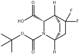 2-Azabicyclo[2.2.2]octane-2,3-dicarboxylic acid, 5,5-difluoro-, 2-(1,1-dimethyle… Struktur