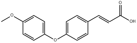 JR-8538, (E)-3-(4-(4-Methoxyphenoxy)phenyl)acrylic acid, 97% Struktur