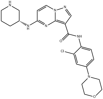 Pyrazolo[1,5-a]pyrimidine-3-carboxamide, N-[2-chloro-4-(4-morpholinyl)phenyl]-5-[(3R)-3-piperidinylamino]- Struktur