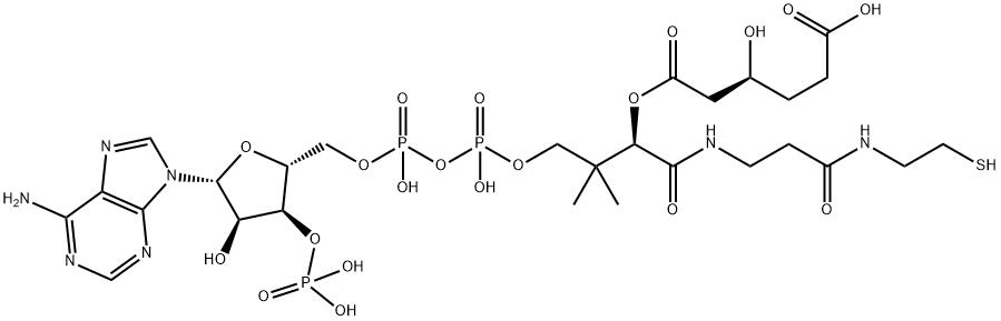 Coenzyme A, S-(6-hydrogen 3-hydroxyhexanedioate) Struktur