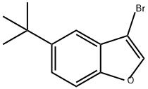 3-bromo-5-tert-butylbenzofuran Struktur