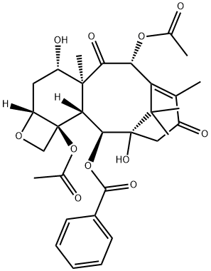 13-Oxobaccatin III Struktur