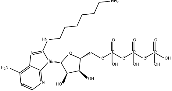 Adenosine 5'-(tetrahydrogen triphosphate), 8-[(6-aminohexyl)amino]- Struktur