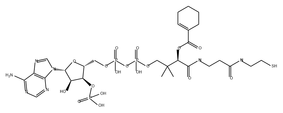 Coenzyme A, S-1-cyclohexene-1-carboxylate Struktur