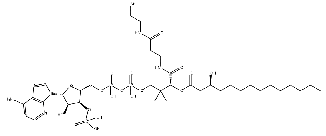 Coenzyme A, S-(3-hydroxytetradecanoate) Struktur