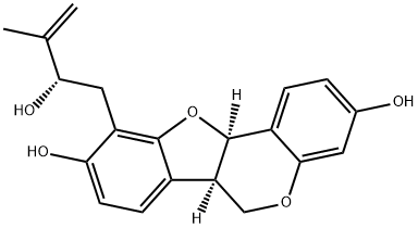 DOLICHIN B Struktur