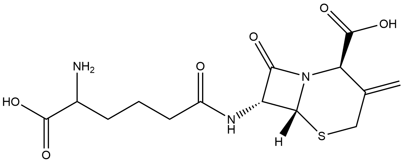 5-Thia-1-azabicyclo[4.2.0]octane-2-carboxylic acid, 7-[(5-amino-5-carboxy-1-oxopentyl)amino]-3-methylene-8-oxo-, [2R-[2α,6α,7β(R*)]]- (9CI) Struktur