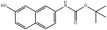 Carbamic acid, (7-hydroxy-2-naphthalenyl)-, 1,1-dimethylethyl ester (9CI) Struktur