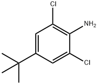 Benzenamine, 2,6-dichloro-4-(1,1-dimethylethyl)- Struktur