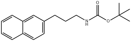 Carbamic acid, N-[3-(2-naphthalenyl)propyl]-, 1,1-dimethylethyl ester Struktur