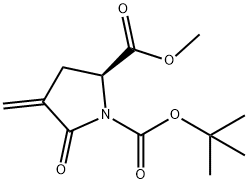 1,2-Pyrrolidinedicarboxylic acid, 4-methylene-5-oxo-, 1-(1,1-dimethylethyl) 2-methyl ester, (2S)- Struktur