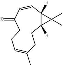 Kissoone A Struktur