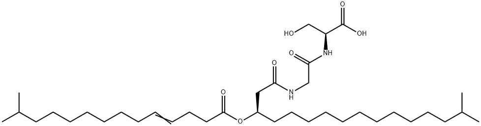 WB 3559 B Struktur