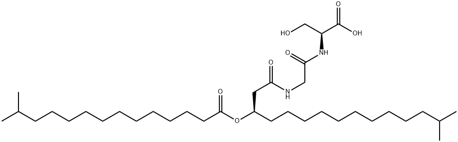 WB 3559 C Struktur