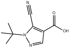 1H-Pyrazole-4-carboxylic acid, 5-cyano-1-(1,1-dimethylethyl)- Struktur