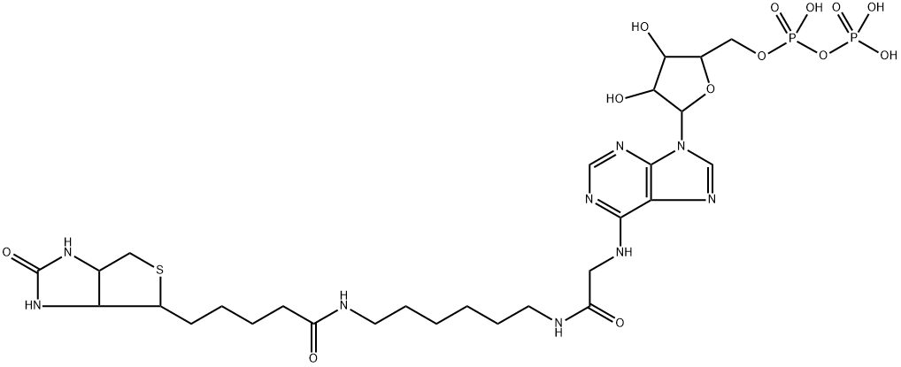 biotinyl-adenoside diphosphate Struktur