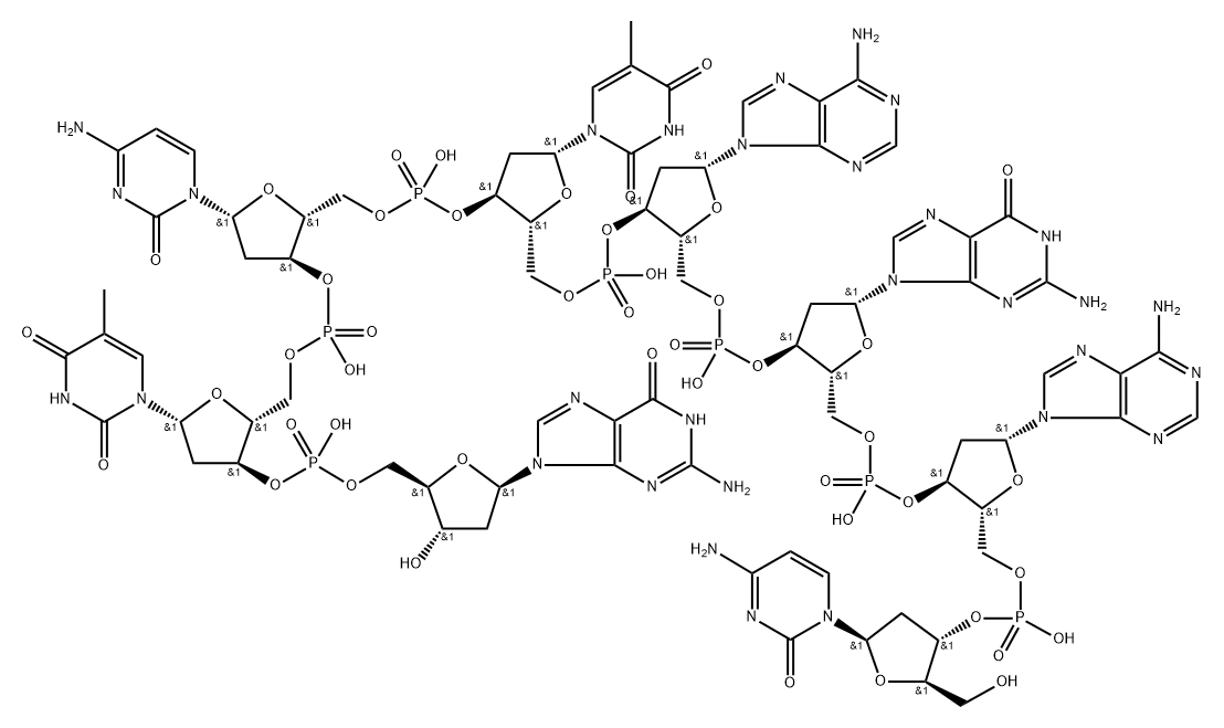 LINKER: BGL II D(CAGATCTG) Struktur