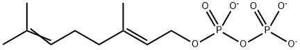 Geranyl Diphosphate (GPP) Struktur