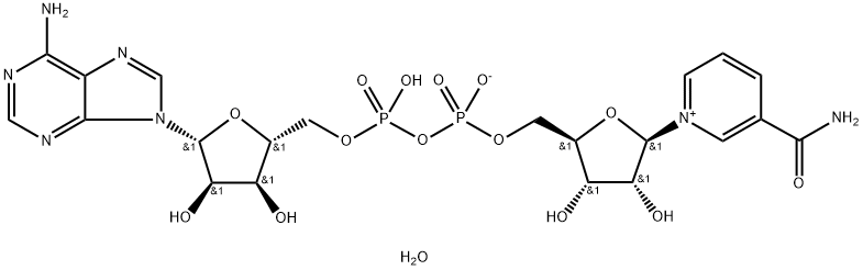 BETA-NICOTINAMIDEADENINEDINUCLEOTIDETRIHYDRATE,????