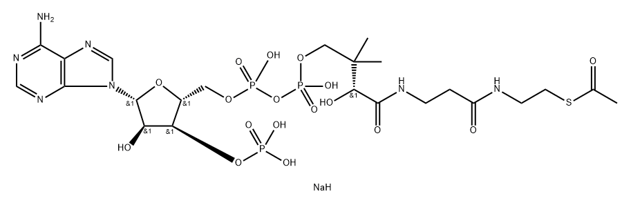 coenzyme A acetyl derivative, disodium salt Struktur