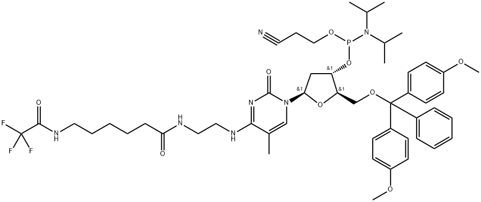 LENS CULINARIS AGGLUTININ Struktur