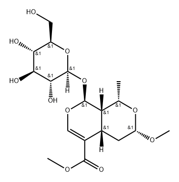 7α-O-Methylmorroniside Struktur