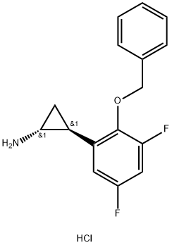 S 2101 Struktur