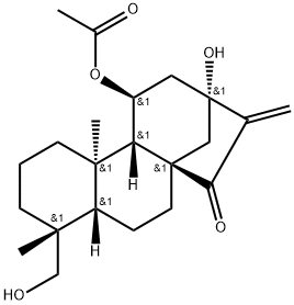 125164-55-8 結構式