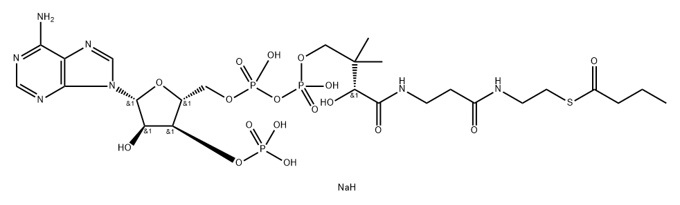 Butyryl Coenzyme A (sodium salt) Struktur