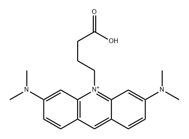 ATTO 495 Acid Struktur