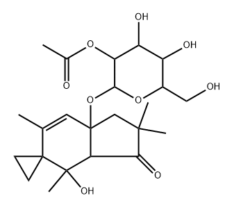 HYPOLOSIDEA Struktur