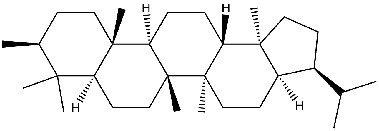 3β,17α(H),21α(H)-3-Methylhopane Struktur