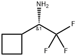 Cyclobutanemethanamine, α-(trifluoromethyl)-, (αS)- Struktur