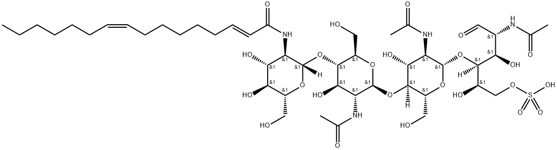 NodRM-1 Struktur