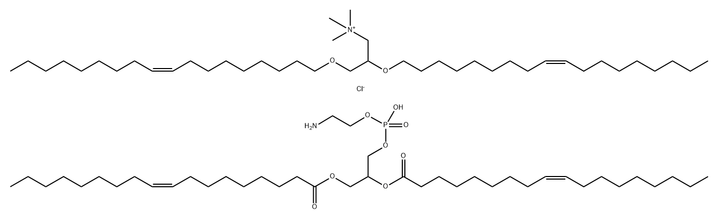 Lipofectin Struktur