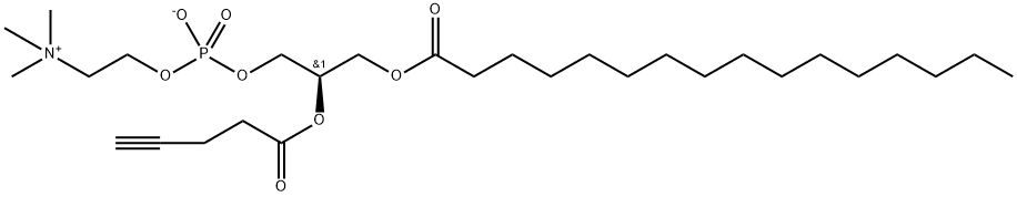 1-palmitoyl-2-(propargylacetyl)-sn-glycero-3-phosphocholine Struktur