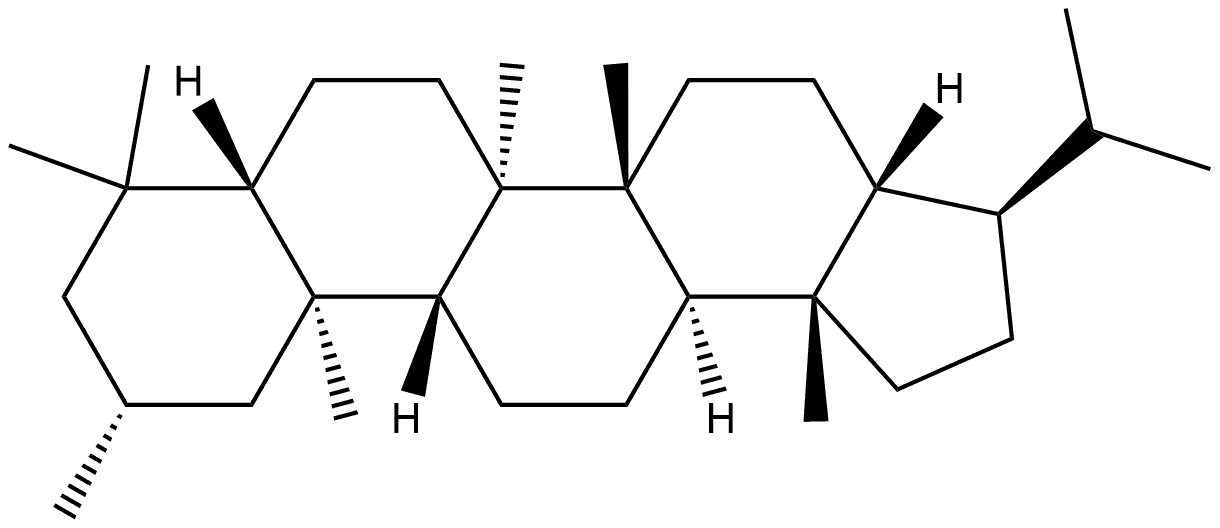 2β,17α(H),21(H)-2-Methylhopane Struktur