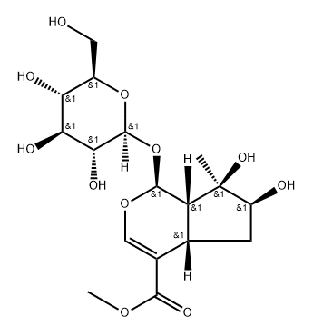 CARYPTOSIDE Struktur