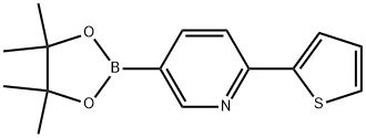 5-(4,4,5,5-Tetramethyl-1,3,2-dioxaborolan-2-yl)-2-(2-thienyl)pyridine Struktur