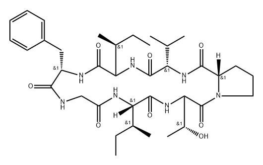 Cyclo(glycyl-L-isoleucyl-L-threonyl-L-prolyl-L-valyl-L-isoleucyl-L-phenylalanyl)(9CI) Struktur